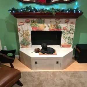 Fireplace surround with hand-painted cactus and succulent tile murals and a white tile hearth